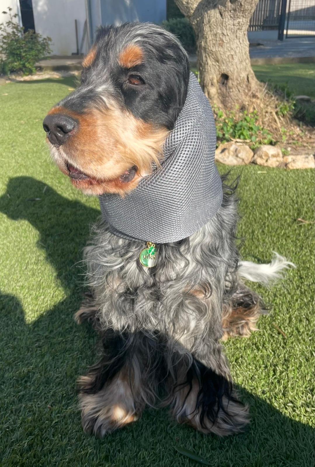 Snood respirant gris foncé