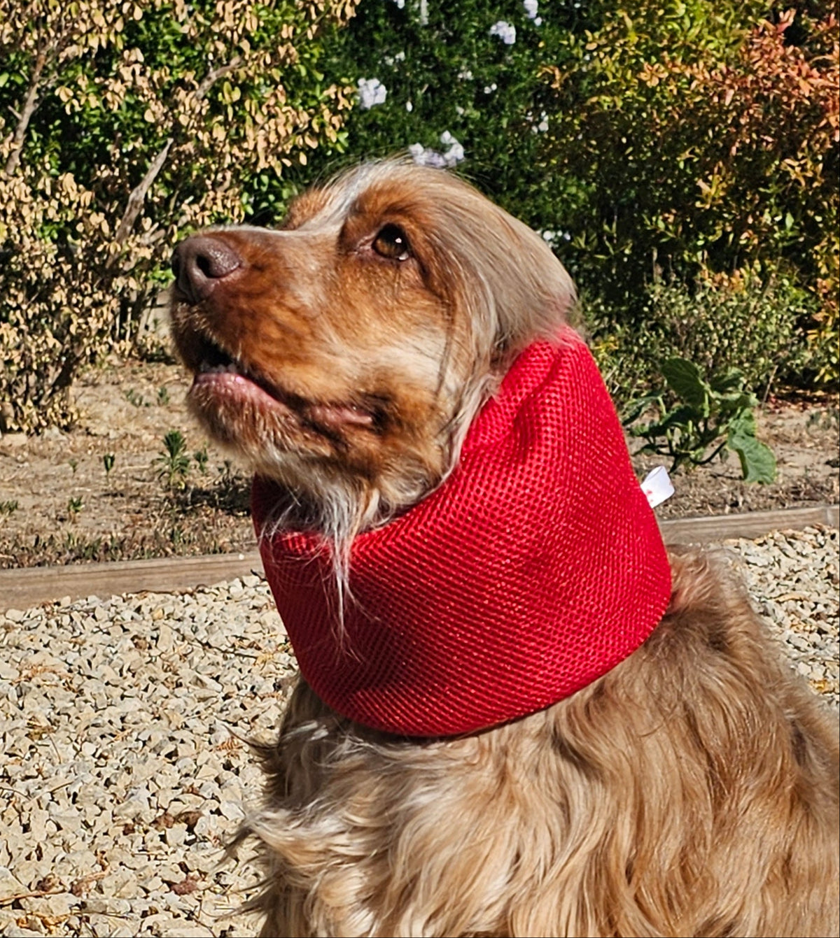 Snood respirant rouge