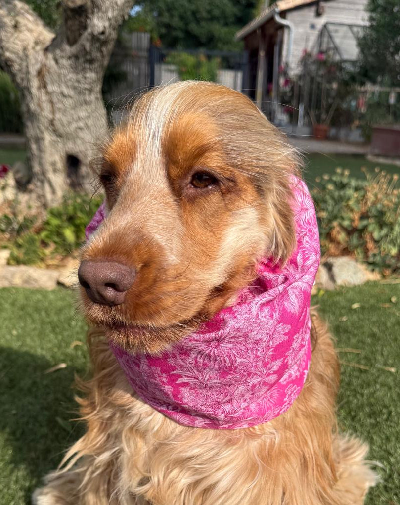Snood rose fuchsia - coton
