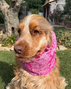 Snood rose fuchsia - coton