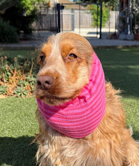 Snood rose fuchsia -gaze de coton