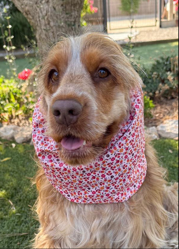Snood rose liberty - imperméable