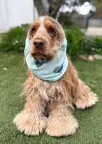Snood vert avec coeurs - polaire