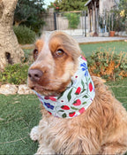 Snood vert avec fraises et fleurs - imperméable