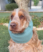 Snood vert d'eau - coton nid d'abeille