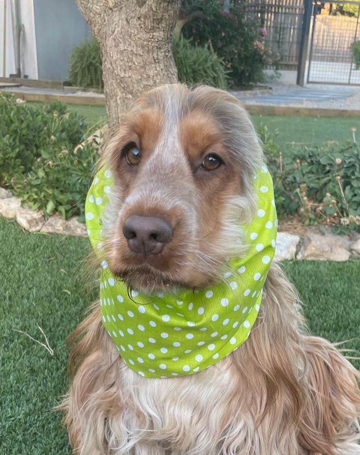 Snood vert à pois blancs - imperméable