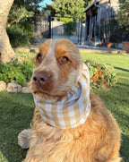 Snood vichy beige - imperméable