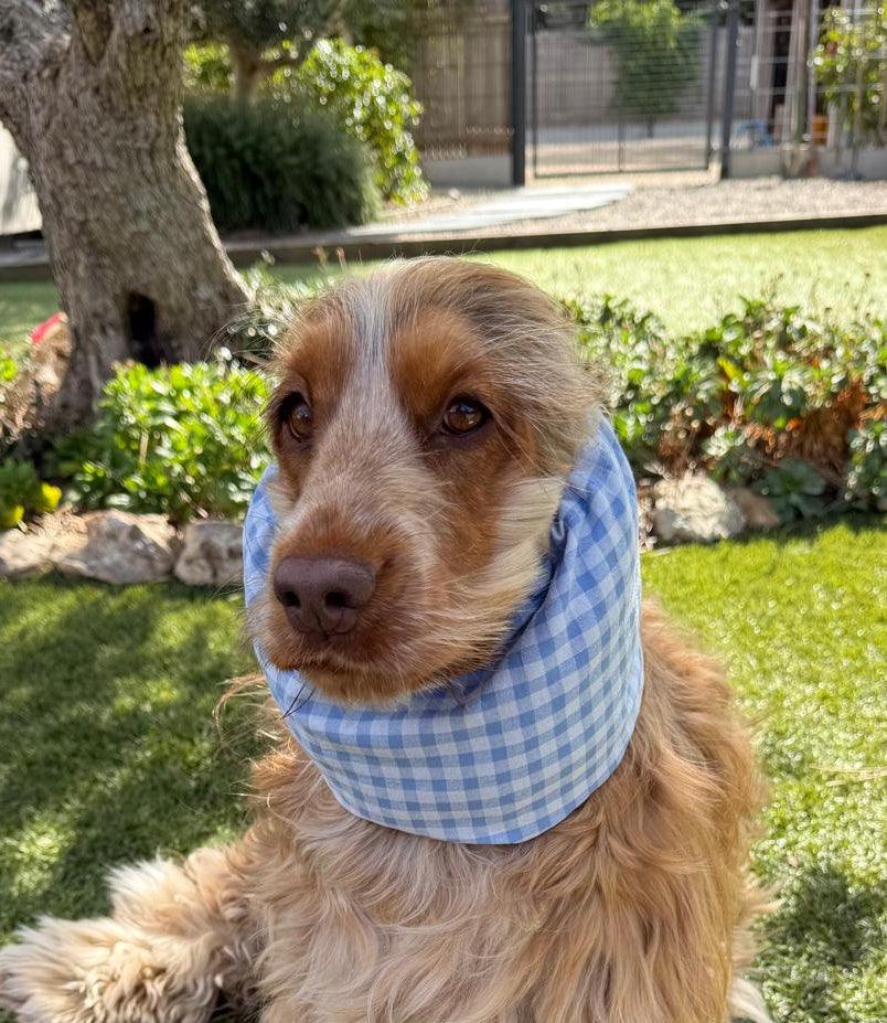 Snood vichy bleu ciel - coton seersucker