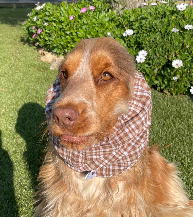 Snood vichy marron clair - coton
