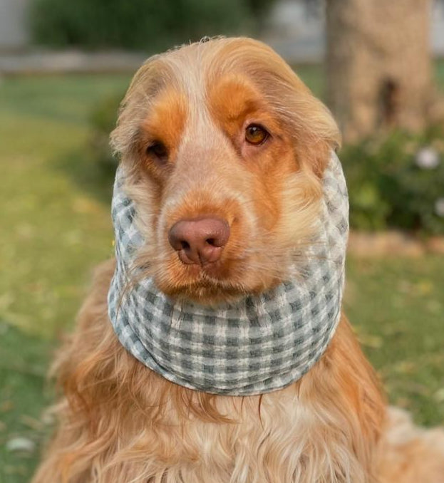Snood vichy vert - coton seersucker