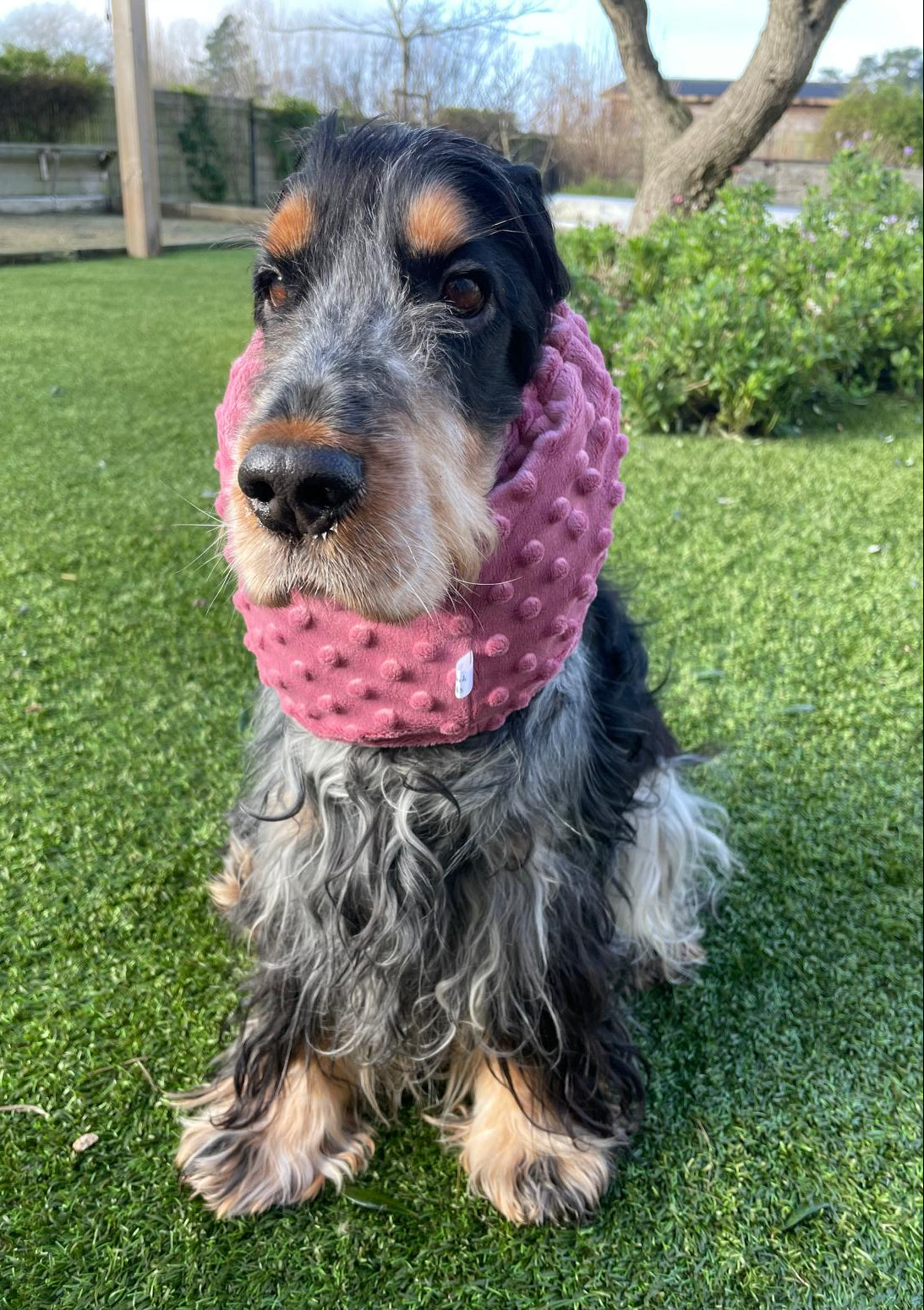 Snood vieux rose - minky
