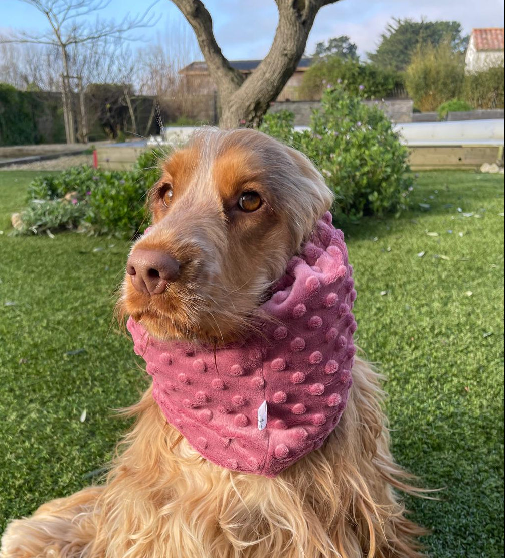 Snood vieux rose - minky